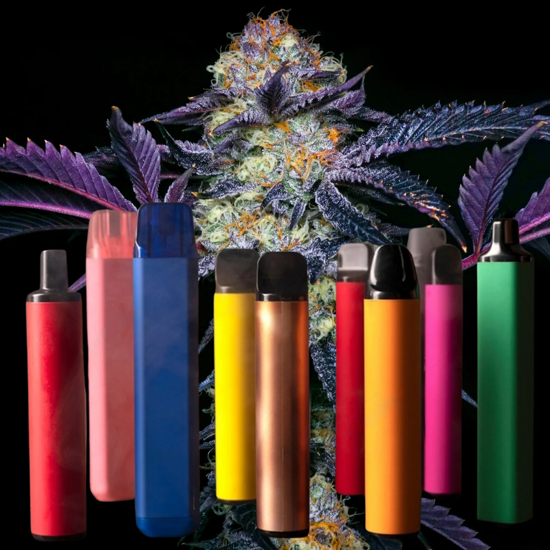 Buy Cannabis Disposable Vapes in Manitoba