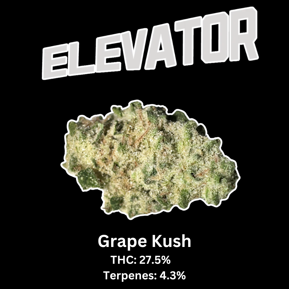 Elevator Grape Kush Indica Flower-14g