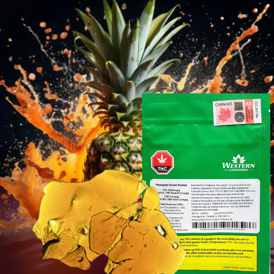 Western Cannabis Pineapple Smash Sativa Shatter-1g