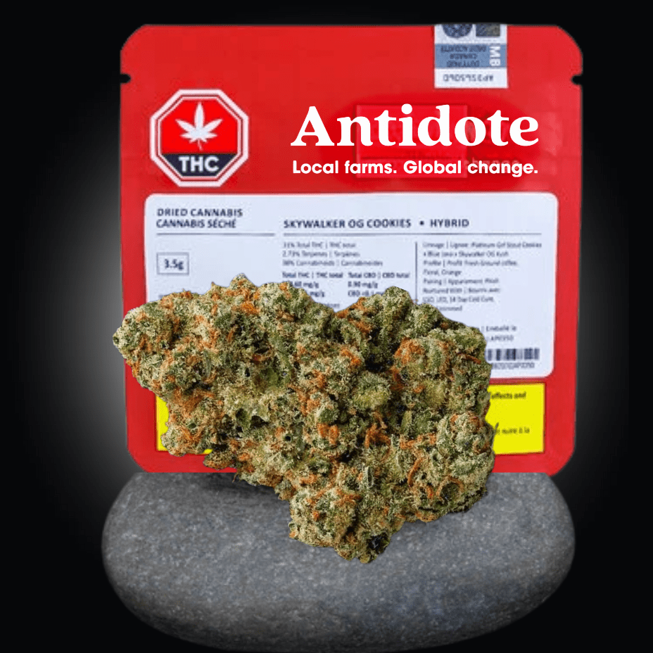 Antidote Skywalker OG Cookies Hybrid Flower-3.5g 3.5g Morden Vape SuperStore and Cannabis Manitoba Canada