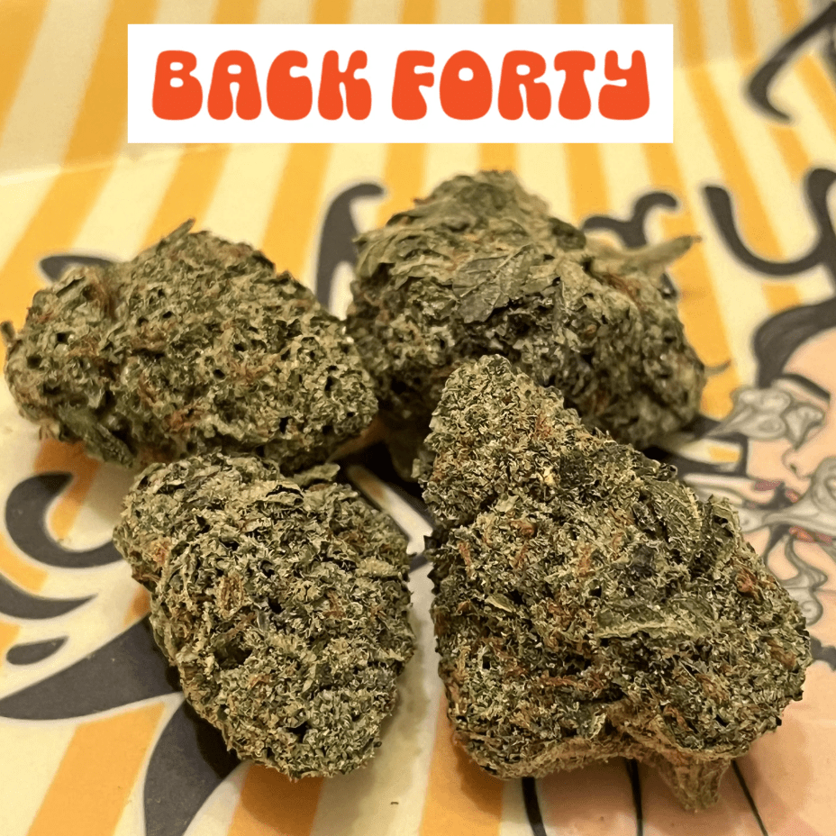 Back Forty Liquid Imagination Hybrid Flower-7g 7g Morden Vape SuperStore and Cannabis Manitoba Canada