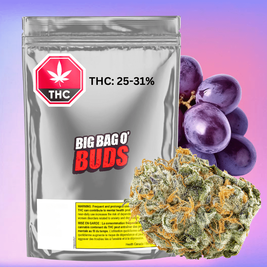 Big Bag O' Buds Purple Cherry Punch Flower-28g 28g Morden Vape SuperStore and Cannabis Manitoba Canada