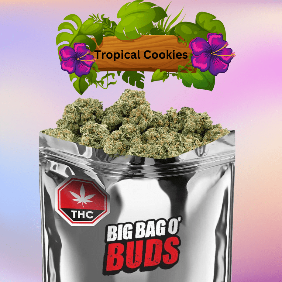 Big Bag O' Buds Tropical Cookies Flower-28g 28g Morden Vape SuperStore and Cannabis Manitoba Canada