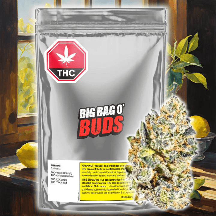 Big Bag O' Buds Ultra Jean-G Sativa Flower-28g 28g Morden Vape SuperStore and Cannabis Manitoba Canada