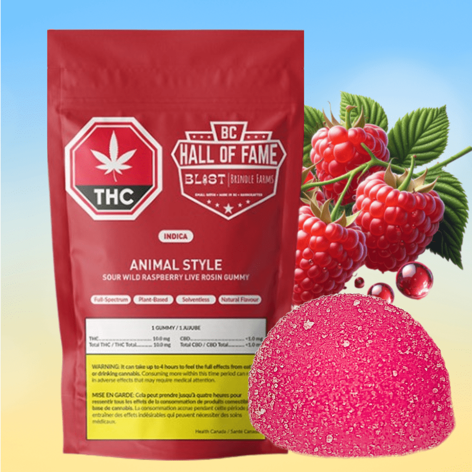 BLAST LA Kush Cake Wild Raspberry Live Rosin Gummy-1x10mg 1x10mg Morden Vape SuperStore and Cannabis Manitoba Canada