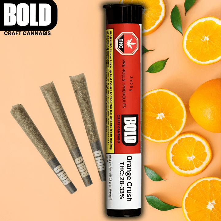 Bold Orange Crush Sativa Pre-rolls 3x0.5g 3x0.5g Morden Vape SuperStore and Cannabis Manitoba Canada