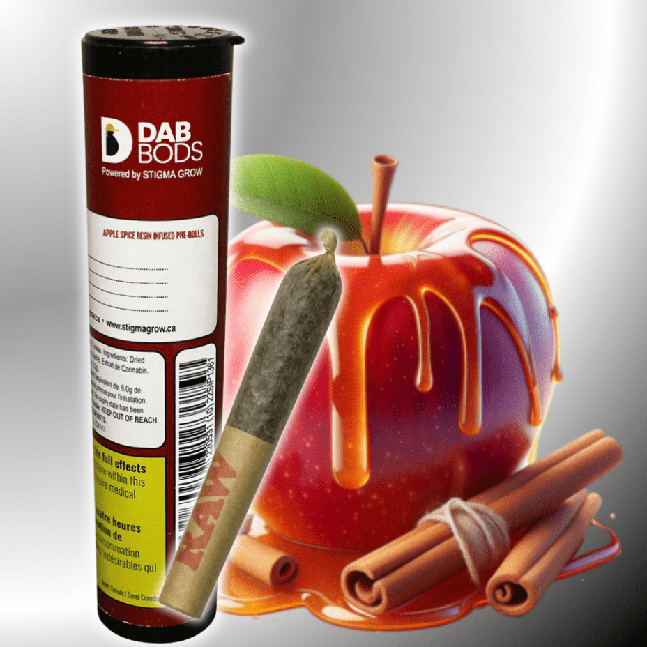 Dab Bods Apple Spice Resin Infused Pre-roll 1x0.5g 1x0.5g Morden Vape SuperStore and Cannabis Manitoba Canada