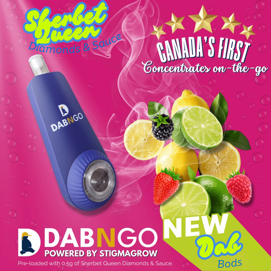 Dab Bods Dab N Go Sherbet Queen Diamonds & Sauce Morden Vape SuperStore and Cannabis Manitoba Canada