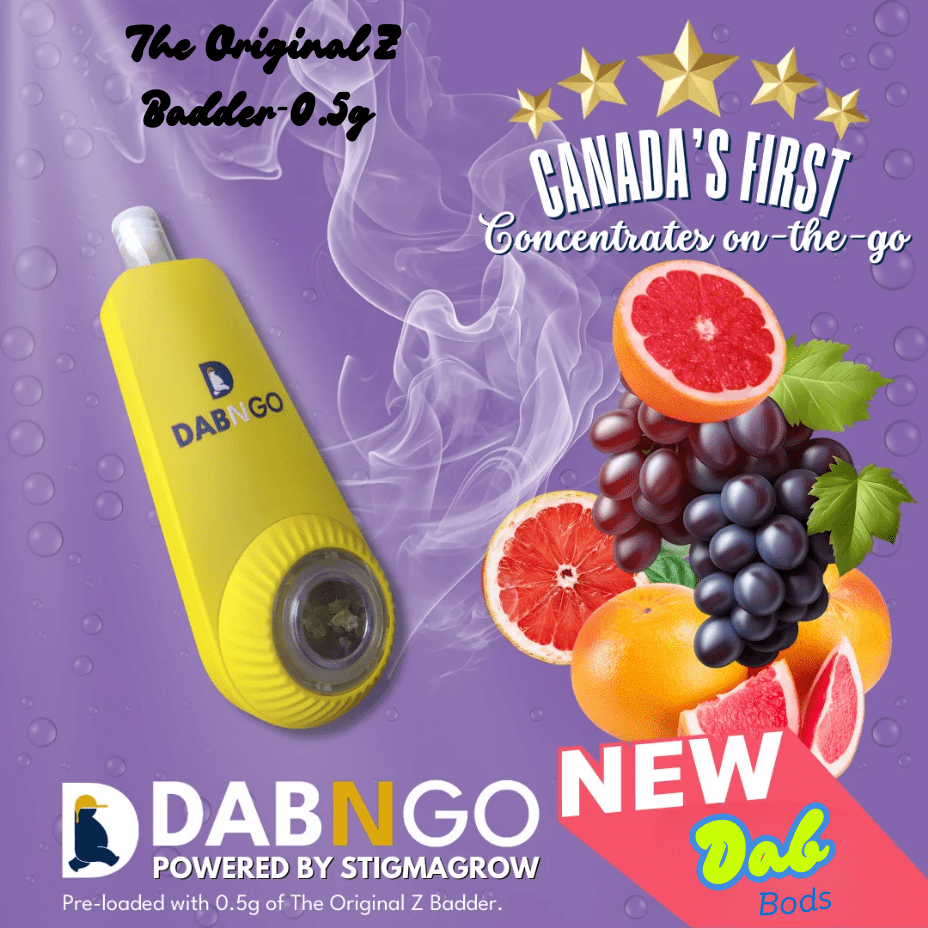 Dab Bods Dab N Go The Original Z Badder Vaporizer Morden Vape SuperStore and Cannabis Manitoba Canada