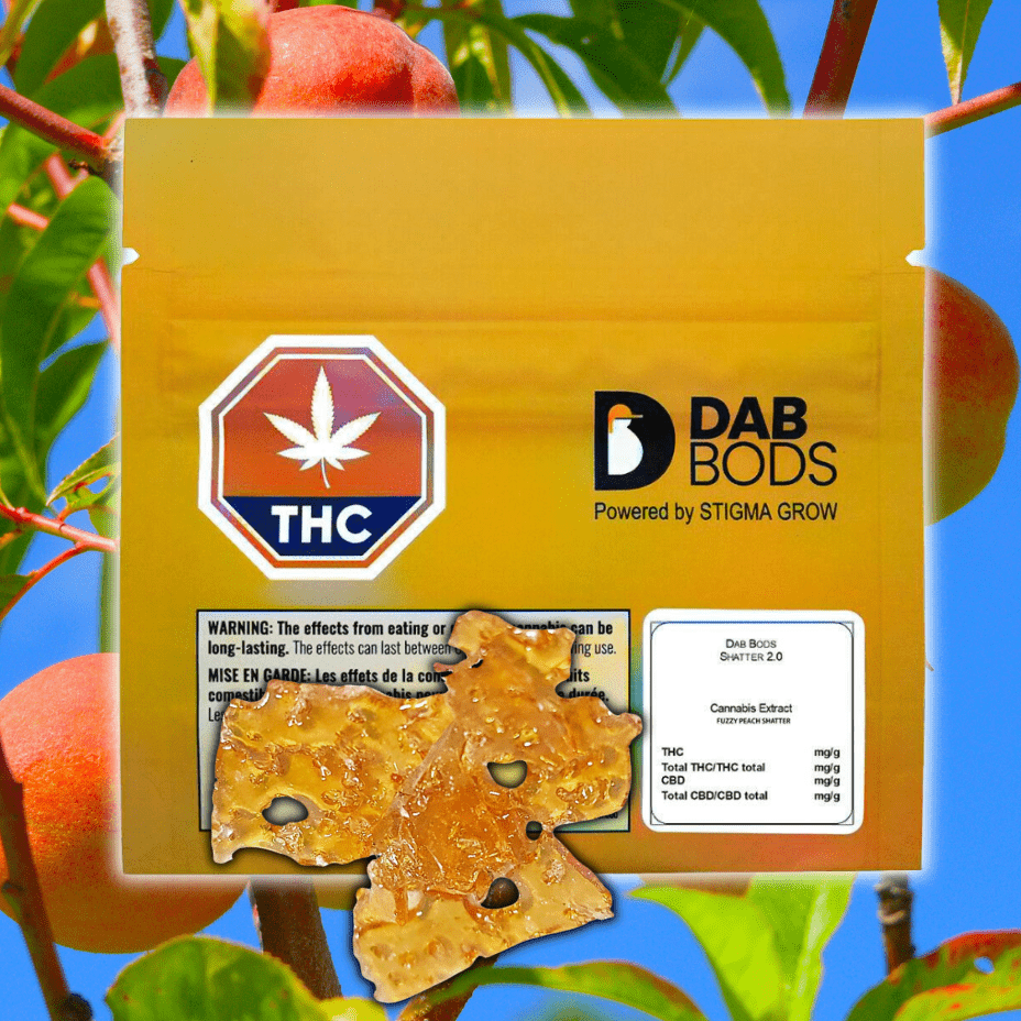 Dab Bods Fuzzy Peach 2.0 Shatter-1g 1g Morden Vape SuperStore and Cannabis Manitoba Canada