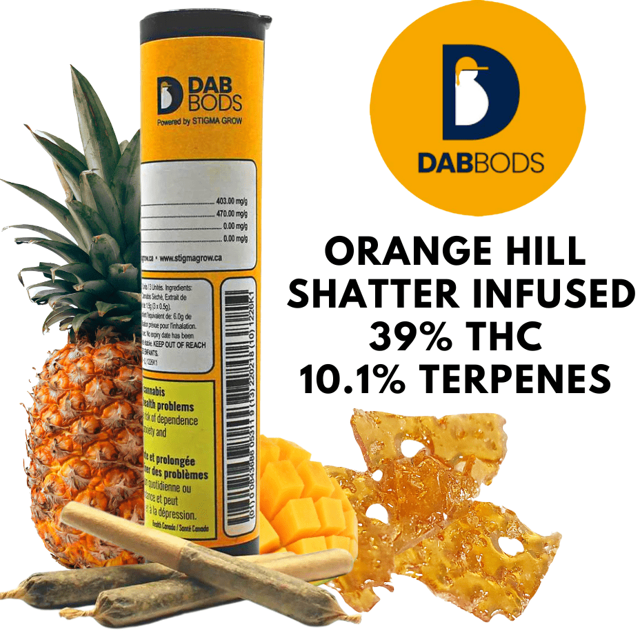 Dab Bods Orange Hill Shatter Infused Indica Pre-Rolls-3x0.5g 3x0.5g Morden Vape SuperStore and Cannabis Manitoba Canada