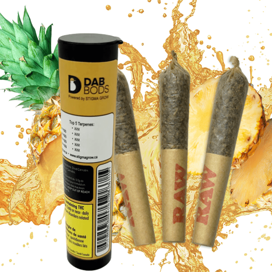 Dab Bods Pineapple Chunk Resin Infused Pre-Rolls-3x0.5g 3x0.5g Morden Vape SuperStore and Cannabis Manitoba Canada