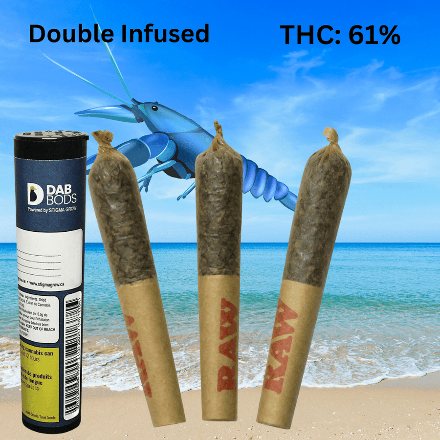 Dab Bods Pre-Rolls 3x0.5g Dab Bods Blue Lobster 60's+ Dbl Infused-3x0.5g-Vape SuperStore