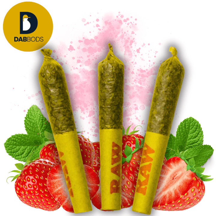 Dab Bods Strawberry Freeze Resin Infused Hybrid Pre-Roll-3x0.5g 3x0.5g Morden Vape SuperStore and Cannabis Manitoba Canada