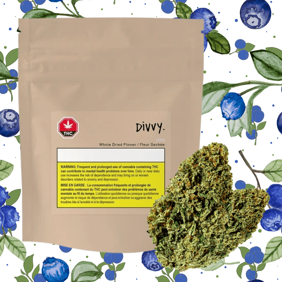 Divvy Blueberry Indica Flower-28g Morden Vape SuperStore and Cannabis Manitoba Canada