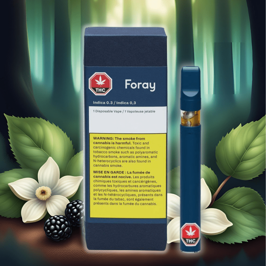 Foray Blackberry Cream Indica Disposable-0.3g 0.3g Morden Vape SuperStore and Cannabis Manitoba Canada