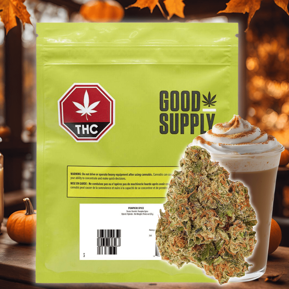 Good Supply Pumpkin Spice Hybrid Flower-7g 7g Morden Vape SuperStore and Cannabis Manitoba Canada