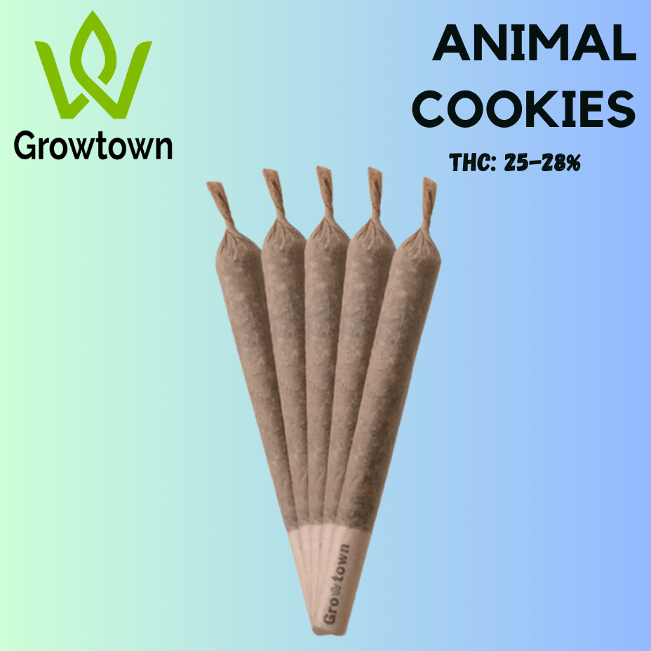 GrowTown Animal Cookies Pre-rolls 5x0.5g 5x0.5g Morden Vape SuperStore and Cannabis Manitoba Canada