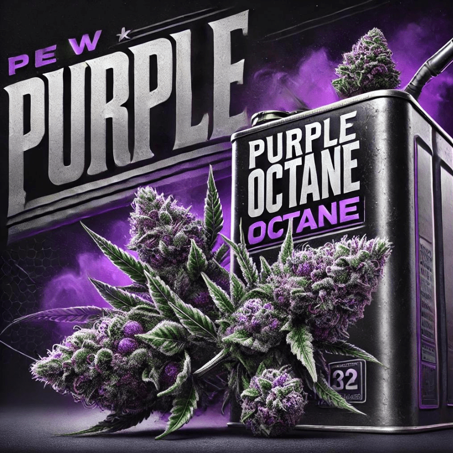 Kief Cannabis Purple Octane Indica Flower-7g 7g Morden Vape SuperStore and Cannabis Manitoba Canada