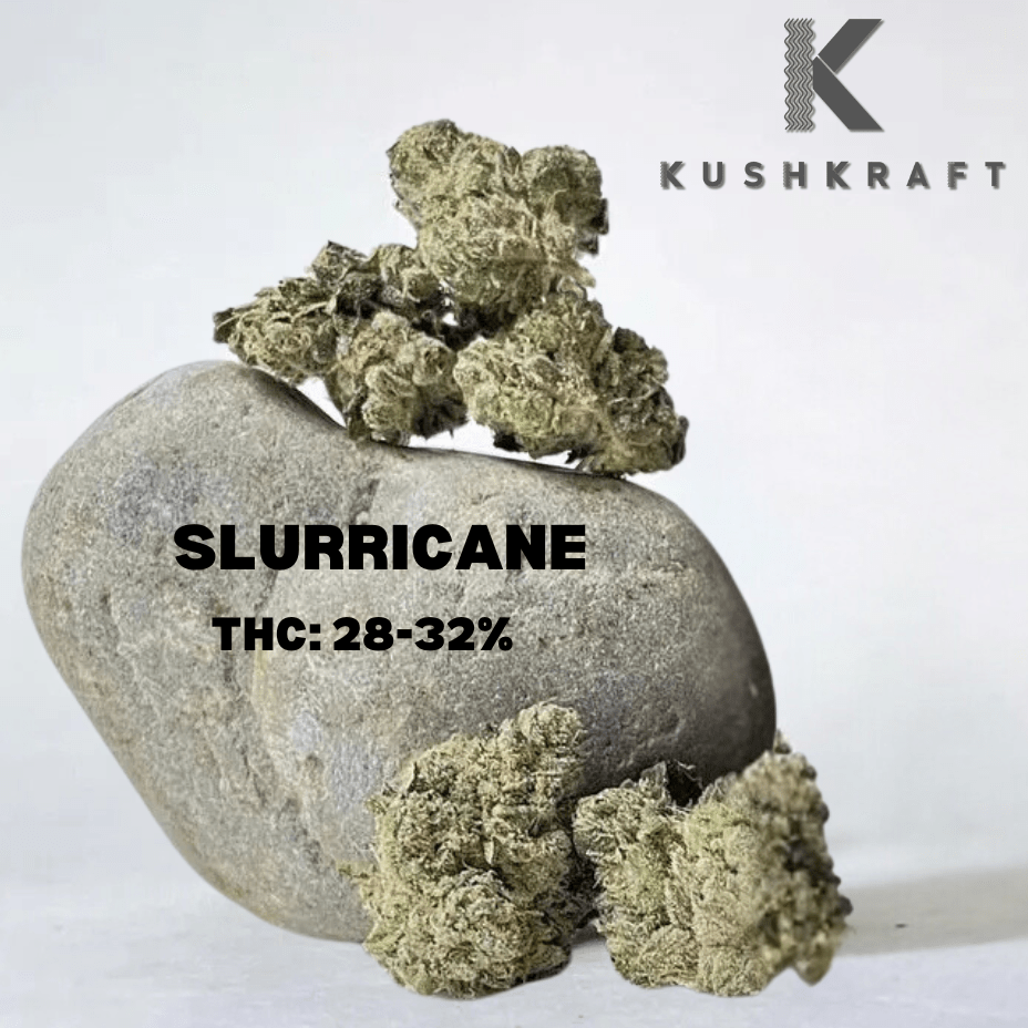 KushKraft Slurricane Indica Flower-7g 7g Morden Vape SuperStore and Cannabis Manitoba Canada