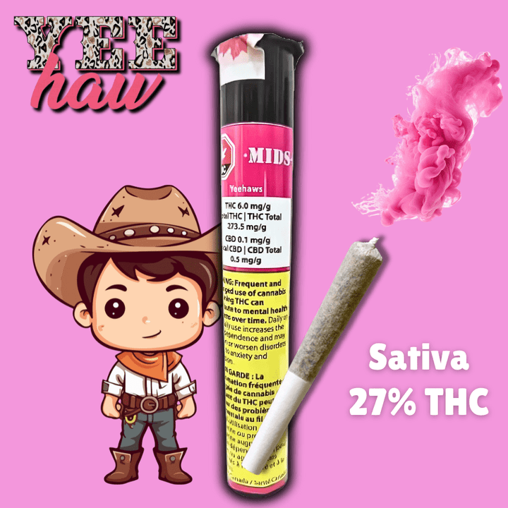 Mids YeeHaw Sativa Pre-Rolls-1x0.5g 1x0.5g Morden Vape SuperStore and Cannabis Manitoba Canada