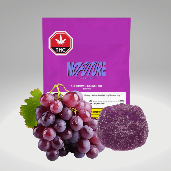 No Future The Purple One Sativa Gummy-1x10mg 1x10mg Morden Vape SuperStore and Cannabis Manitoba Canada