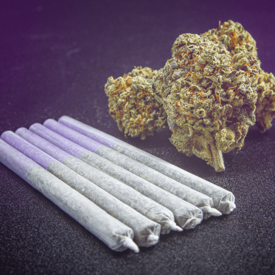 Pinnrz Purple Indica Pre-rolls 6x0.25g 6x0.25g Morden Vape SuperStore and Cannabis Manitoba Canada