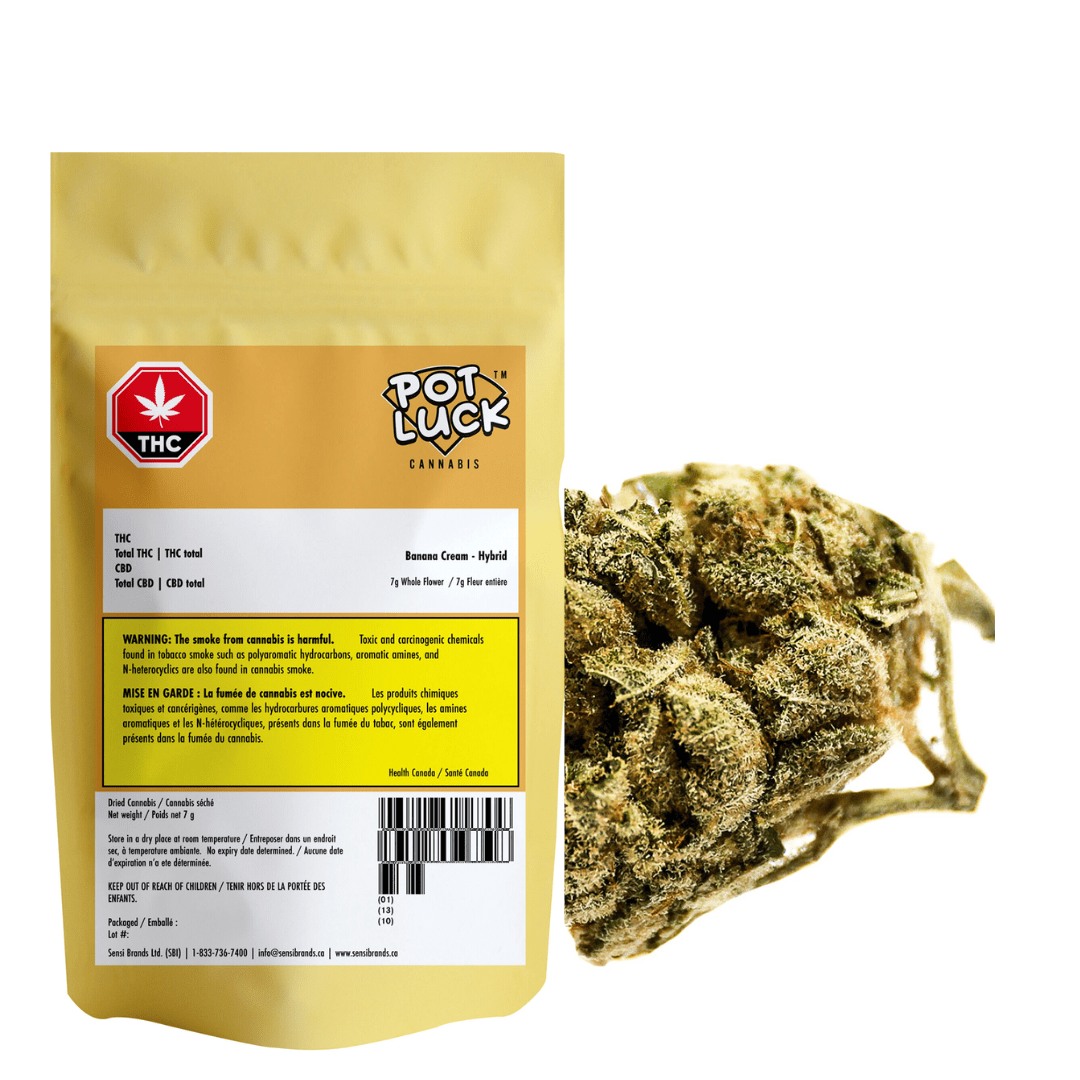 Potluck Banana Cream Indica Flower-7g 7g Morden Vape SuperStore and Cannabis Manitoba Canada