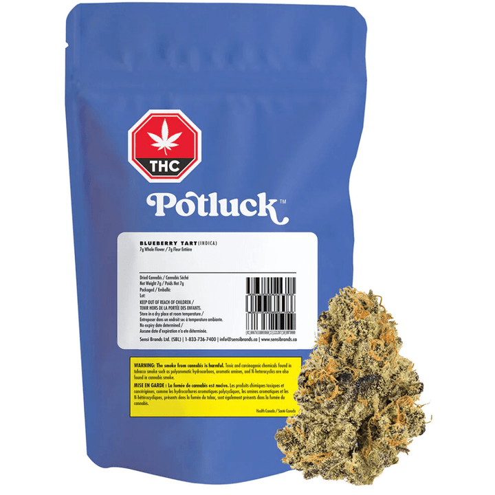 Potluck Blueberry Tart Hybrid Flower-7g 7g Morden Vape SuperStore and Cannabis Manitoba Canada