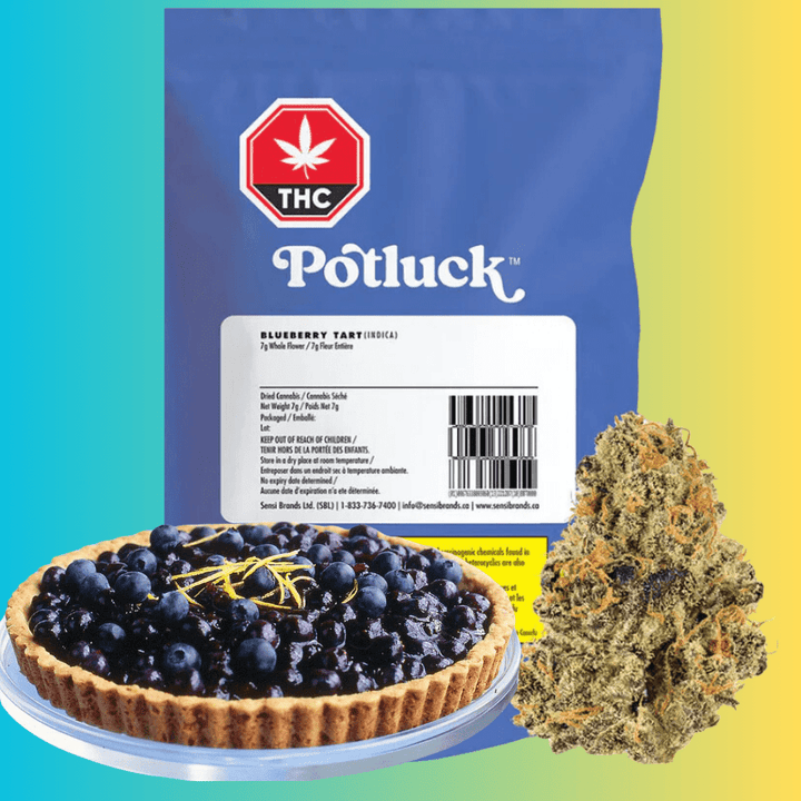 Potluck Blueberry Tart Hybrid Flower-7g 7g Morden Vape SuperStore and Cannabis Manitoba Canada