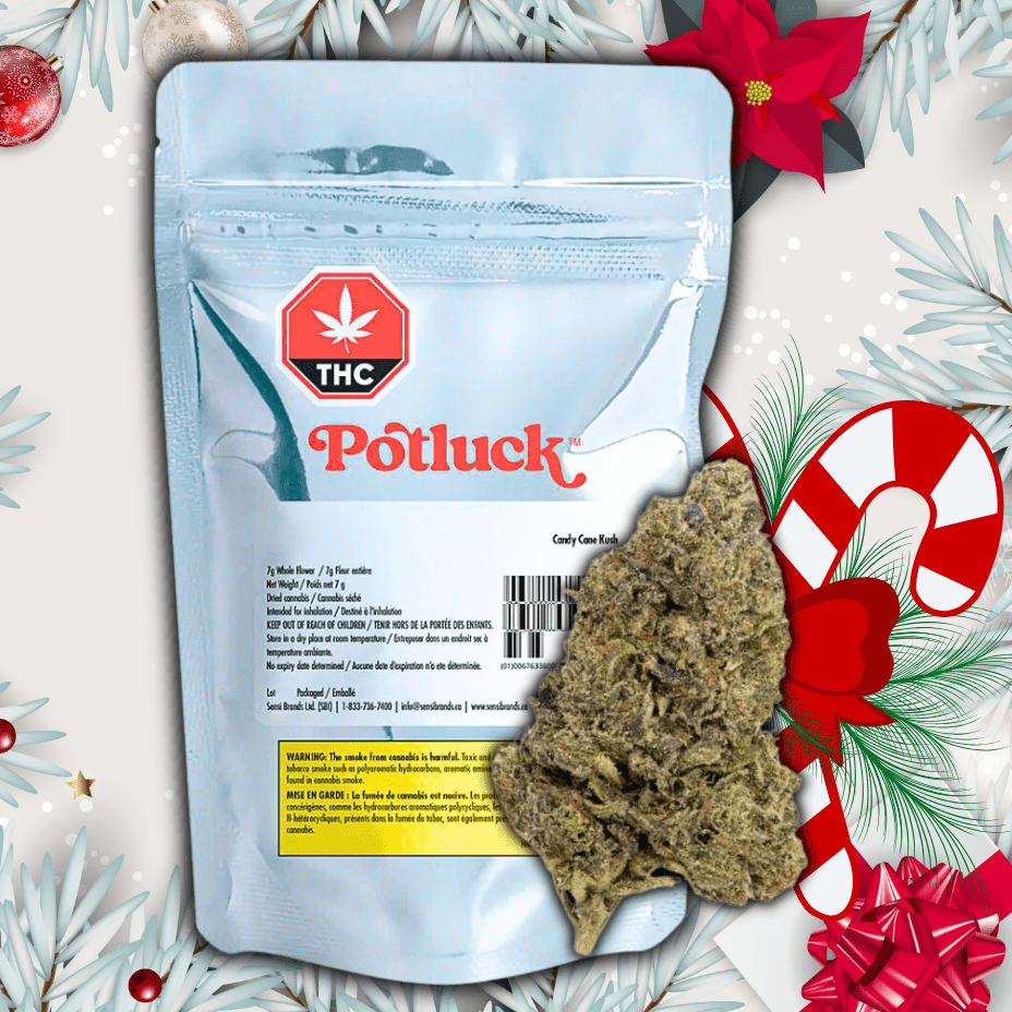 Potluck Candy Cane Kush Flower-7g 7g Morden Vape SuperStore and Cannabis Manitoba Canada