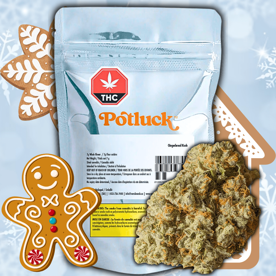 Potluck Gingerbread Kush Hybrid Flower-7g 7g Morden Vape SuperStore and Cannabis Manitoba Canada