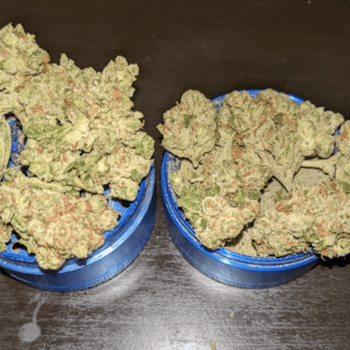 Potluck Pineapple Express Sativa Flower-7g 4x0.5g Morden Vape SuperStore and Cannabis Manitoba Canada