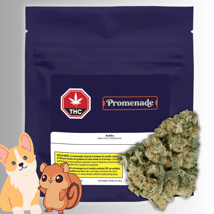 Promenade Buddies Hybrid Flower-28g 28g Morden Vape SuperStore and Cannabis Manitoba Canada