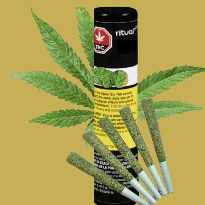 Ritual Sticks Mistletoke Variety Pack Pre-rolls 6x0.5g 6x0.5g Morden Vape SuperStore and Cannabis Manitoba Canada