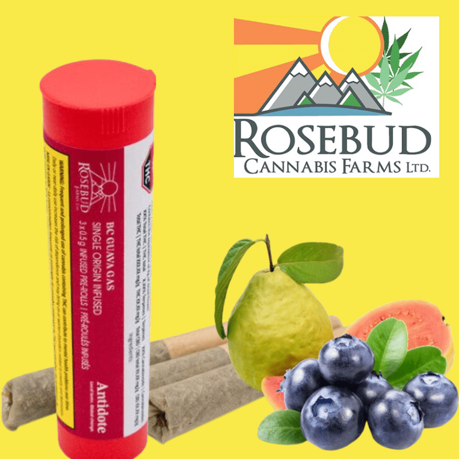 Rosebud Farms Guava Gas Live Rosin Infused Pre-Rolls-3x0.5g Morden Vape SuperStore and Cannabis Manitoba Canada