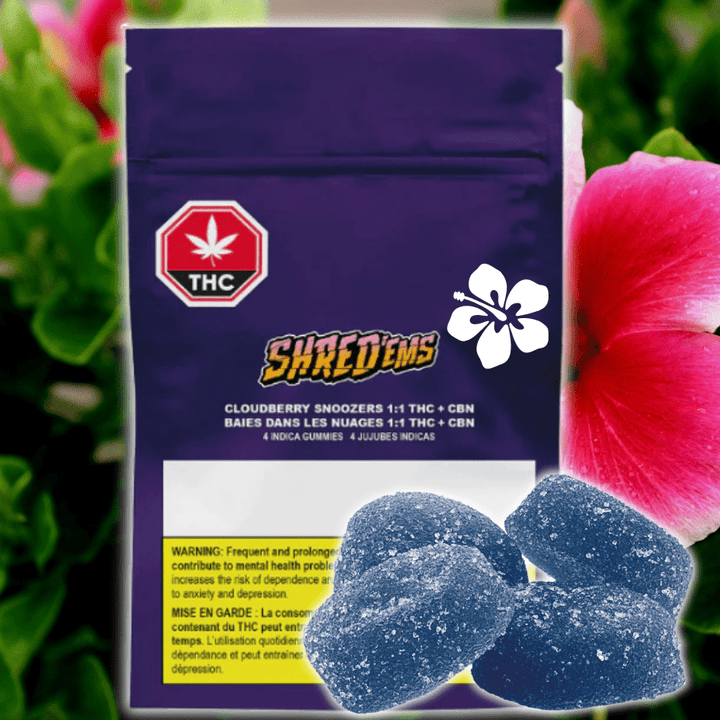 Shred'ems Cloudberry Snoozers 1:1 THC/CBN Gummies 4x2.5mg 4x2.5mg Morden Vape SuperStore and Cannabis Manitoba Canada