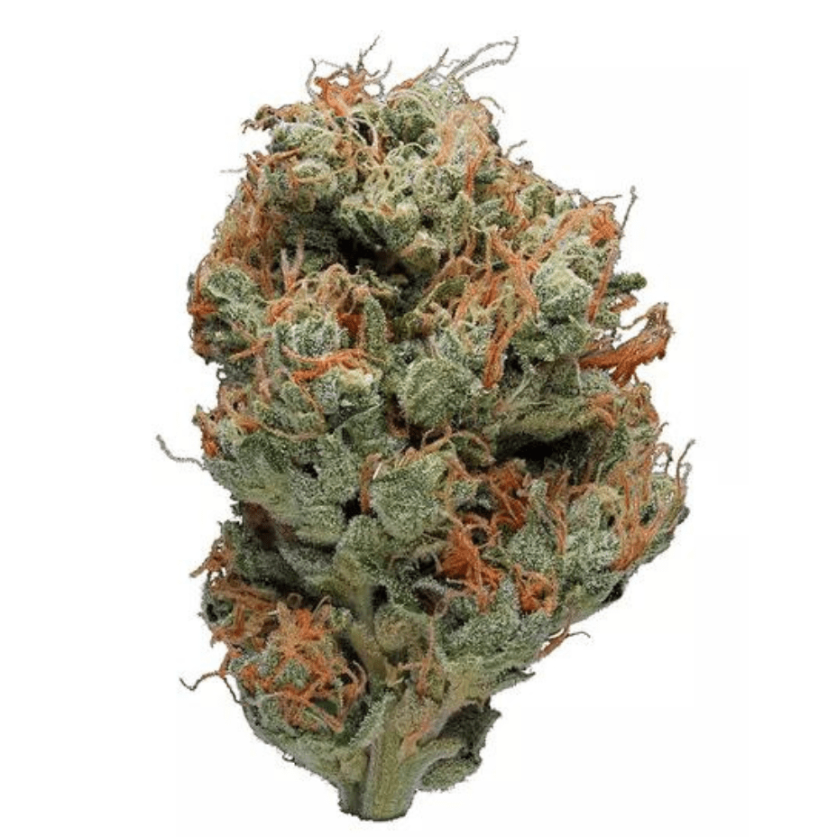 Snicklefritz East Coast Sour D Sativa Flower-3.5g 3.5g Morden Vape SuperStore and Cannabis Manitoba Canada