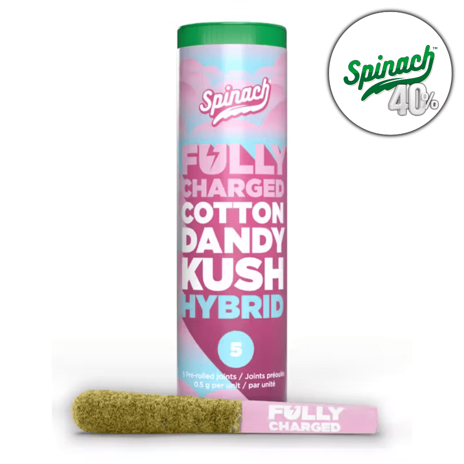 Spinach Fully Charged Cotton Dundy Kush Infused Pre-rolls 5x0.5g 5x0.5g Morden Vape SuperStore and Cannabis Manitoba Canada