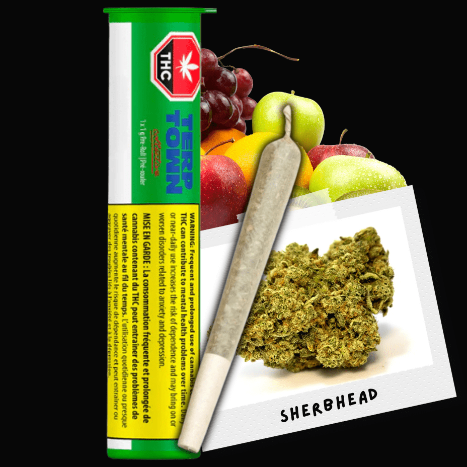 Terp Town Collective Sherbhead Hybrid Pre-roll 1x1g 1x1g Morden Vape SuperStore and Cannabis Manitoba Canada