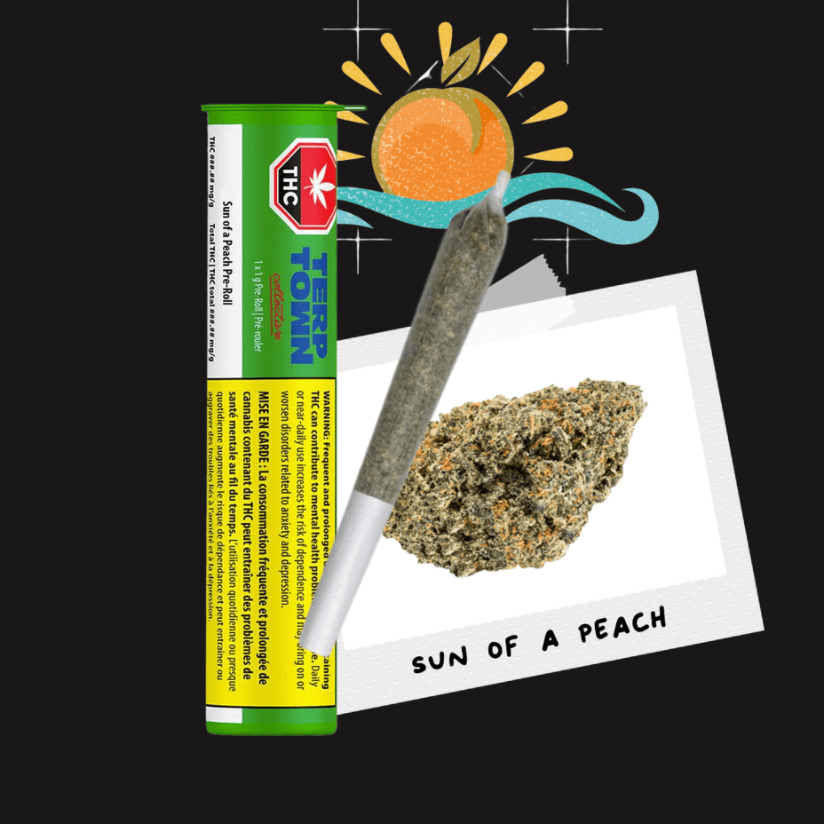 Terp Town Collective Sun of a Peach Hybrid Pre-roll-1x1g Morden Vape SuperStore and Cannabis Manitoba Canada