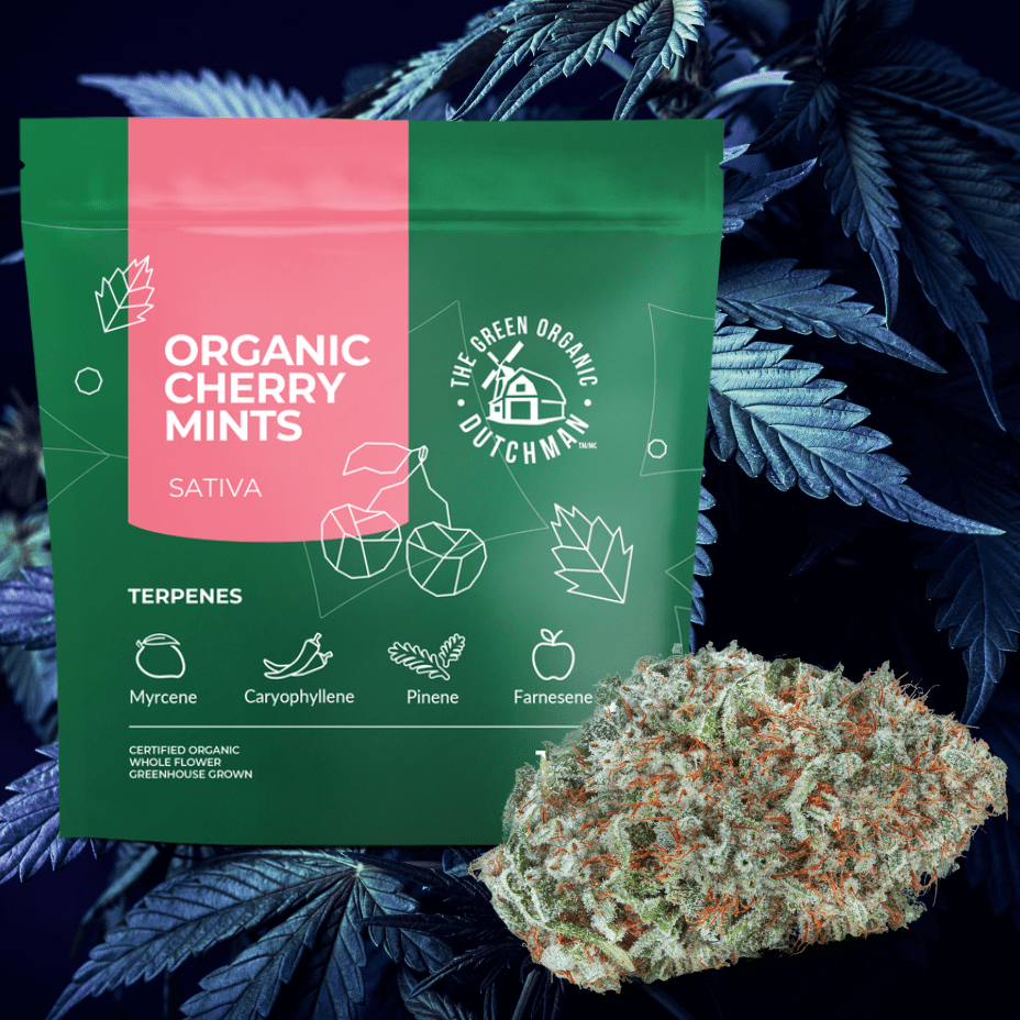 TGOD Organic Cherry Mints Sativa Hybrid Flower-14g 14g Morden Vape SuperStore and Cannabis Manitoba Canada