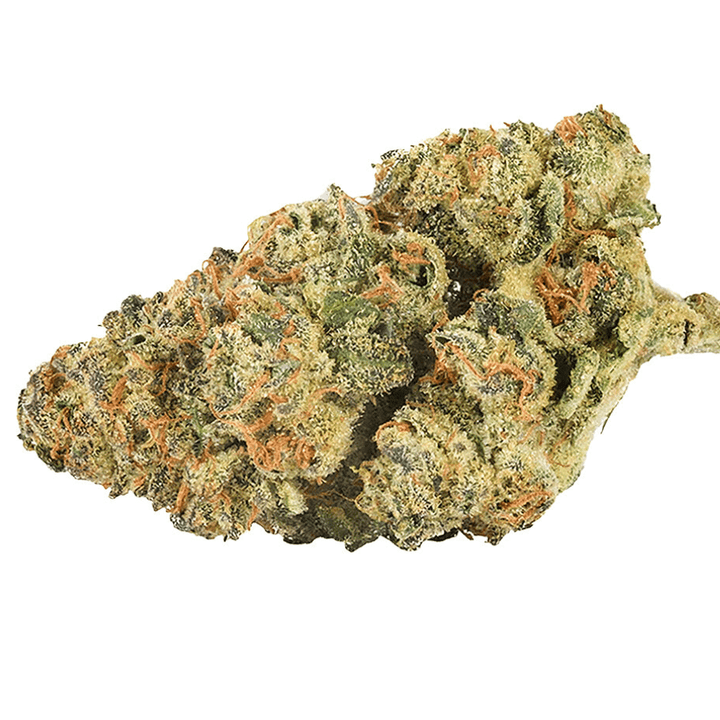 THC BioMed Okanagan Sativa Flower-15g 15g Morden Vape SuperStore and Cannabis Manitoba Canada