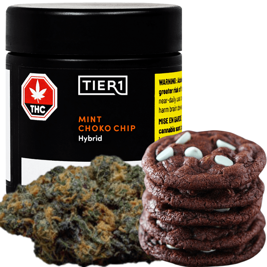 Tier 1 Mint Choko Chip Hybrid Flower-3.5g 3.5g Morden Vape SuperStore and Cannabis Manitoba Canada