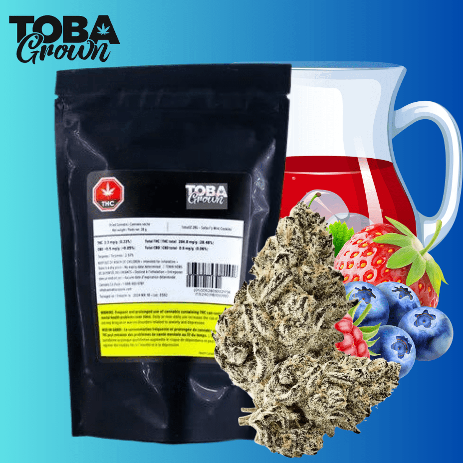 Toba Grown Berry Punch Indica Flower-14g 14g Morden Vape SuperStore and Cannabis Manitoba Canada