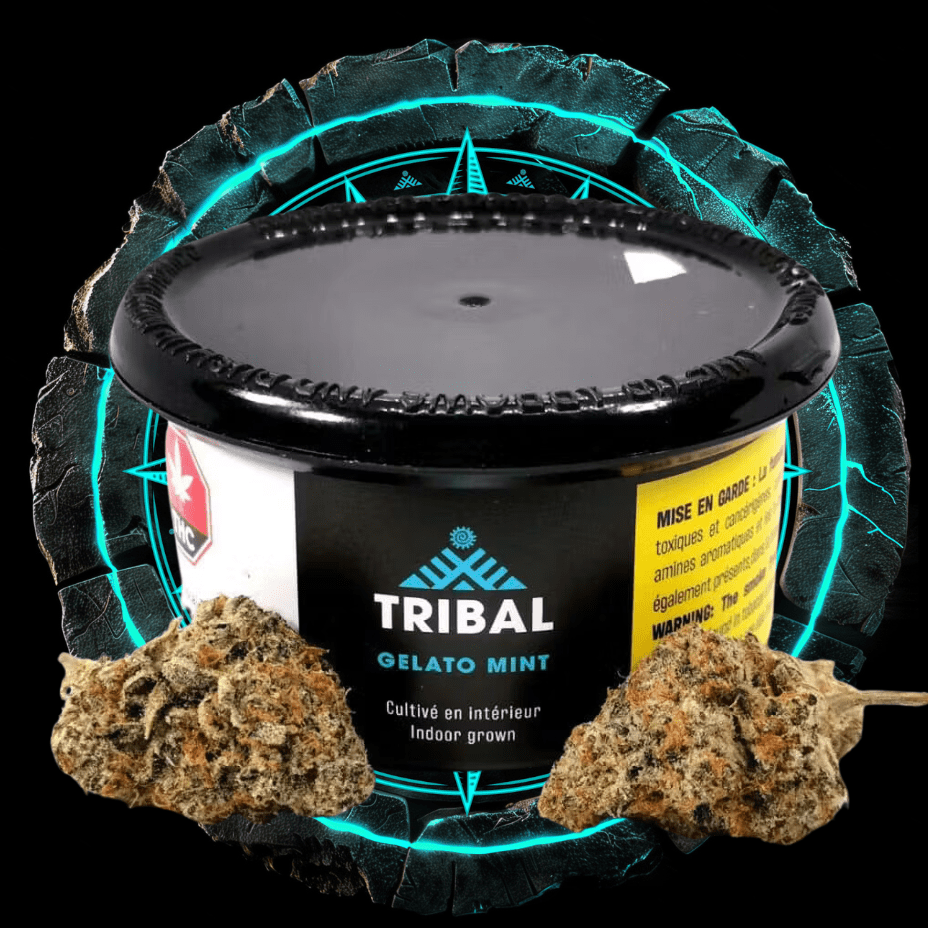 Tribal Gelato Mint Indica Flower-3.5g 3.5g Morden Vape SuperStore and Cannabis Manitoba Canada