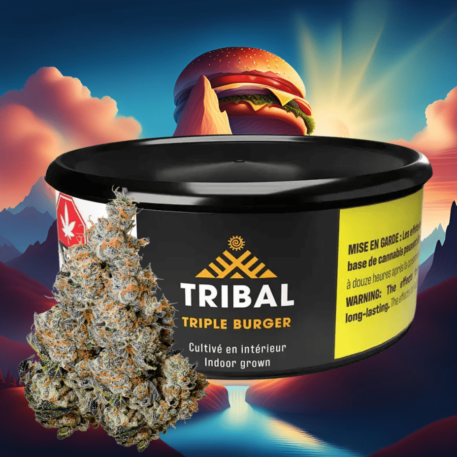 Tribal Triple Burger Indica Flower-3.5g 3.5g Morden Vape SuperStore and Cannabis Manitoba Canada