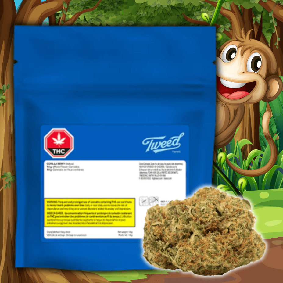 Tweed Gorilla Berry Indica Flower-28g 28g Morden Vape SuperStore and Cannabis Manitoba Canada