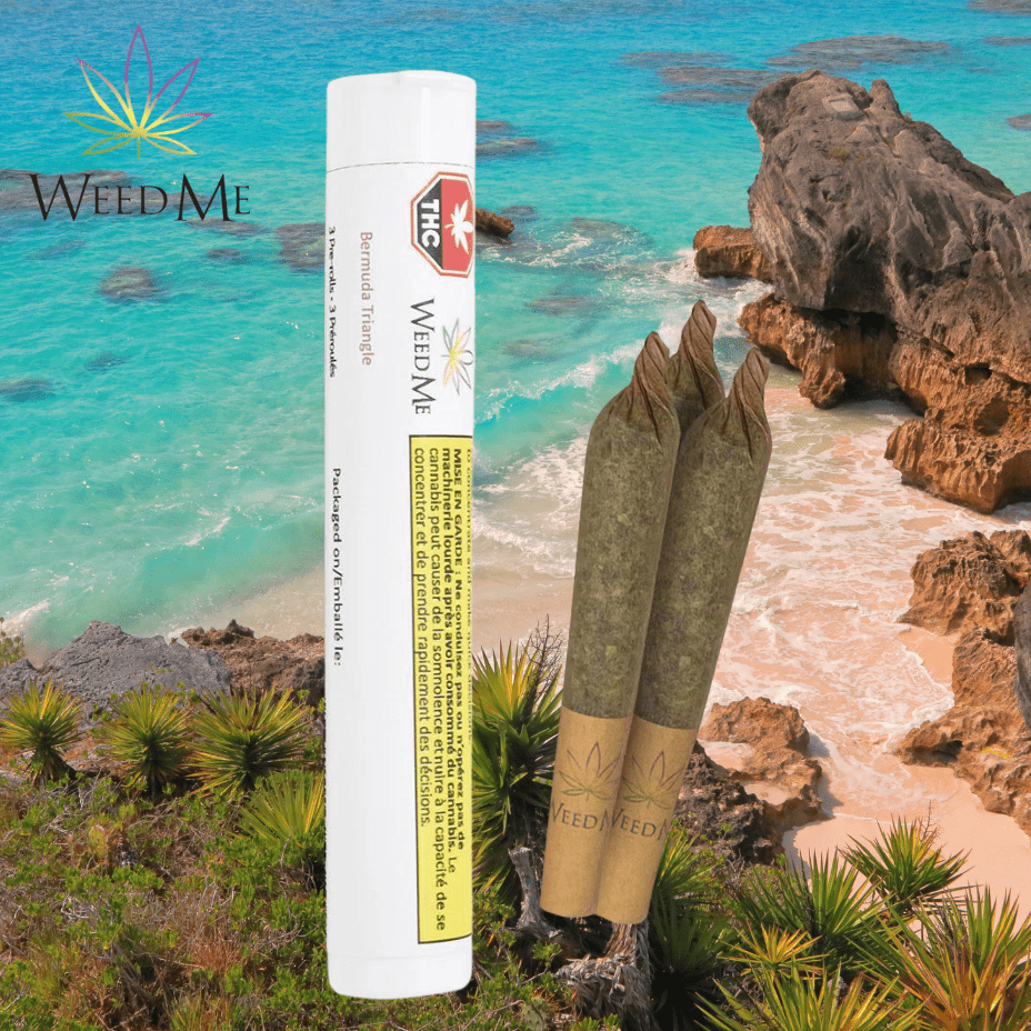 Weed Me Bermuda Triangle Hybrid Pre-rolls 3x0.5g 3x0.5g Morden Vape SuperStore and Cannabis Manitoba Canada