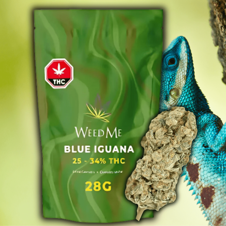 Weed Me Blue Iguana Flower-28g 28g Morden Vape SuperStore and Cannabis Manitoba Canada